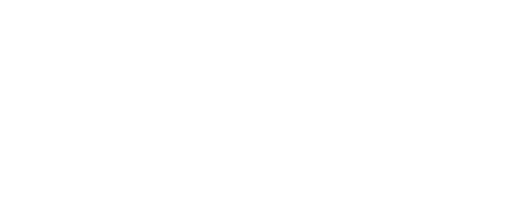 Leilões: Manheim, Adesa, Copart, IAA, Openlane